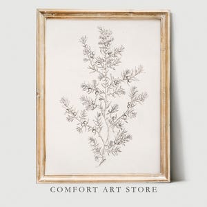 Vintage Wacholder Baum Skizze Minimalistische Wand Kunst Rustikaler Zweig Zeichnung Neutraler Ton Print Antikes druckbares botanisches Poster Digital