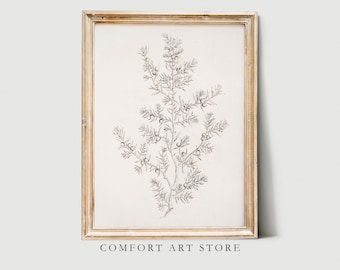 Vintage Wall Art Juniper Tree Sketch Minimalist Painting Rustic Branch Drawing Neutral Tone Print Antique Printable Botanical Poster Digital