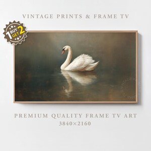 Op de afbeelding: Een ingelijste print van een witte zwaan die op een meer drijft. Het kunstwerk heeft een vintage esthetiek, met de tekst "VINTAGE PRINTS & FRAME TV" bovenaan en "PREMIUM QUALITY FRAME TV ART" onderaan. De afbeelding is 3840x2160 pixels.