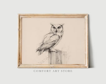 May include: A framed pencil sketch of an owl perched on a wooden post. The owl is depicted in detail with its feathers and facial features. The frame is a light gold color, and the background is a neutral beige. The text "COMFORT ART STORE" is at the bottom.