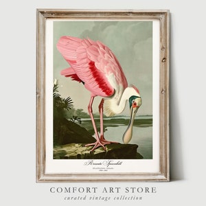 Audubon Style Vogel Druck Seevogel Liebhaber Geschenk Rosenlöffel Löffel Poster Vintage Natur Retro Botanische Wand Kunst Vogel druckbare Vogel Wohnkultur