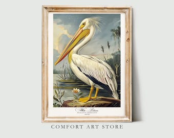 Audubon-stijl vogelprint met witte pelikaanprint. Poster Bird of America minnaar cadeau vintage natuur retro muurkunst pelikaan afdrukbaar woondecoratie