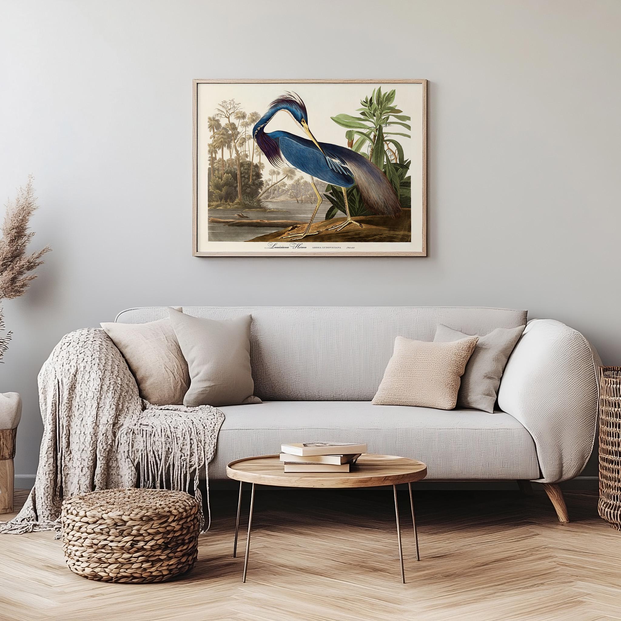 John Audubon Bird Print Retro Louisiana Heron Gallery Wall Art Poster ...