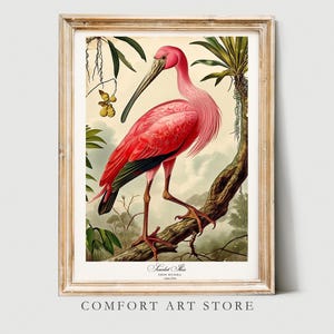 Audubon Style Vogel Druck Vogel Liebhaber Geschenk Scarlet Ibis Poster Vintage Natur Retro Botanische Wand Kunst Printable Home Dekor Digitaler Download