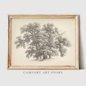Könnte beinhalten: Eine Schwarzweißzeichnung einer Gruppe von Bäumen in einem Vintage-Rahmen. Die Zeichnung befindet sich auf einem cremefarbenen Hintergrund.