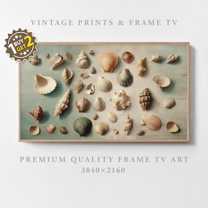 May include: A framed print featuring a collection of various seashells in shades of white, tan, and brown, arranged on a light blue wooden background. The print includes the text "VINTAGE PRINTS & FRAME TV" and "PREMIUM QUALITY FRAME TV ART".