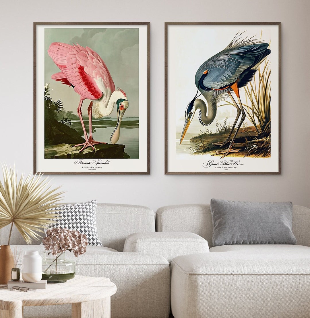 Audubon Style Bird Print Set, Roseate Spoonbill & Heron (digital ...