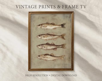 Vintage fish still life wall art, four fish painting on neutral background, rustic coastal kitchen decor printable