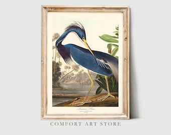 John Audubon Bird Print Louisiana Heron Vintage Poster Retro Gallery Wall Art Nature Antique Printable Home Decor Instant Digital Download