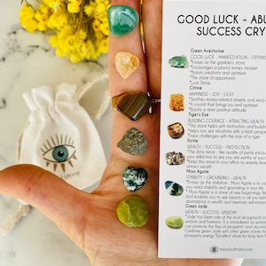 Abundance, Luck, Prosperity Crystal Chip Set - Luck Crystals Set - Citrine, Moss Agate, Tigers eye, Jade, Pyrite, Aventurine