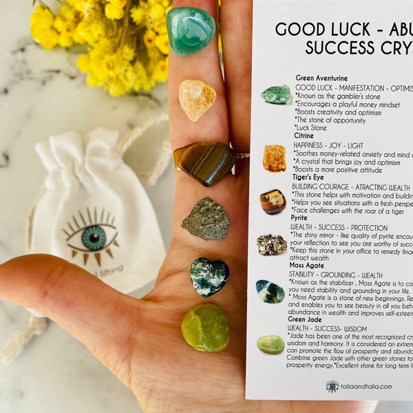 Abundance, Luck, Prosperity Crystal Chip Set - Luck Crystals Set - Citrine, Moss Agate, Tigers eye, Jade, Pyrite, Aventurine