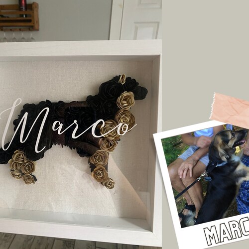 Personalized Dog Shadow Boxdog Shadow Box 9x9 Paper Flower Etsy UK