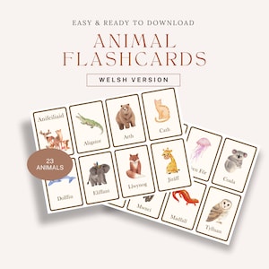 Welsh Animal Flashcards Downloadable