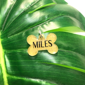 Gold Custom Resin Dog Tag