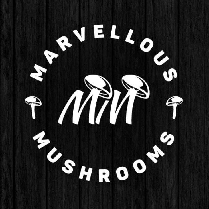 Lion's Mane Grow Kit Hand Made in the UK produces 1kg Etsy UK