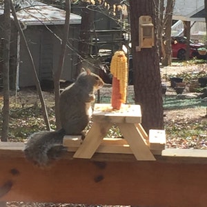 Squirrel Feeder: Cedar Picnic Table