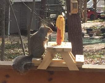 May include: A gray squirrel sits on a small wooden picnic table, eating corn on the cob. The table is on a wooden deck with a brown railing. The squirrel is facing the corn on the cob, which is on the table in front of it.