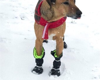 custom dog boots