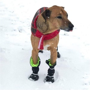 dog boots for dragging paws