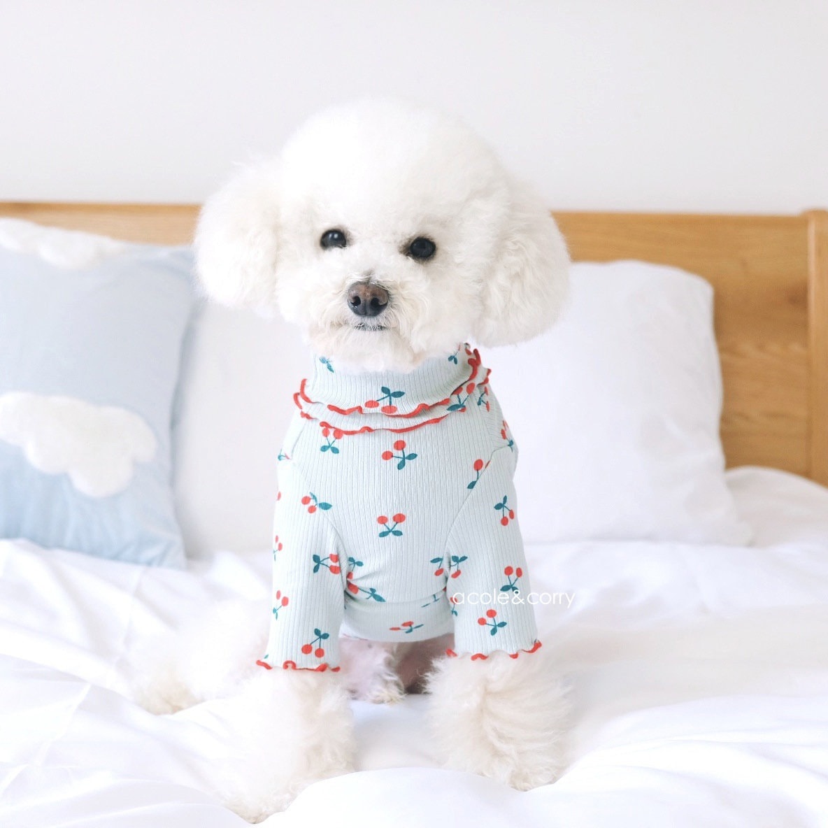 Winter Süße Kirsche Hund Kleidung Welpen Kleidung Sweet Cherry Etsy