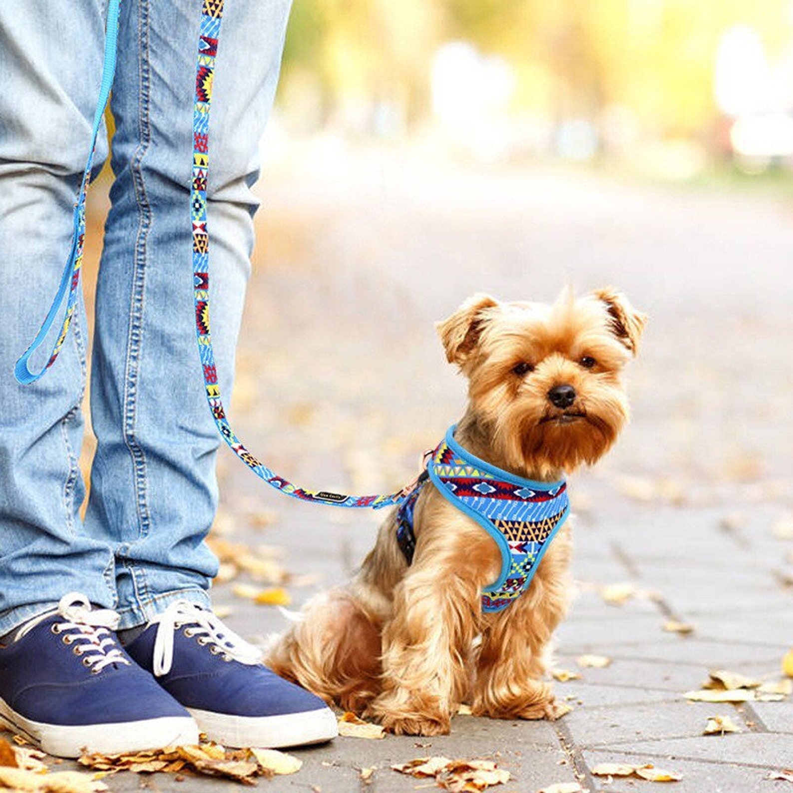 Spring Summer Cute Dog Harness Dog Chest Harness Set Cute Etsy