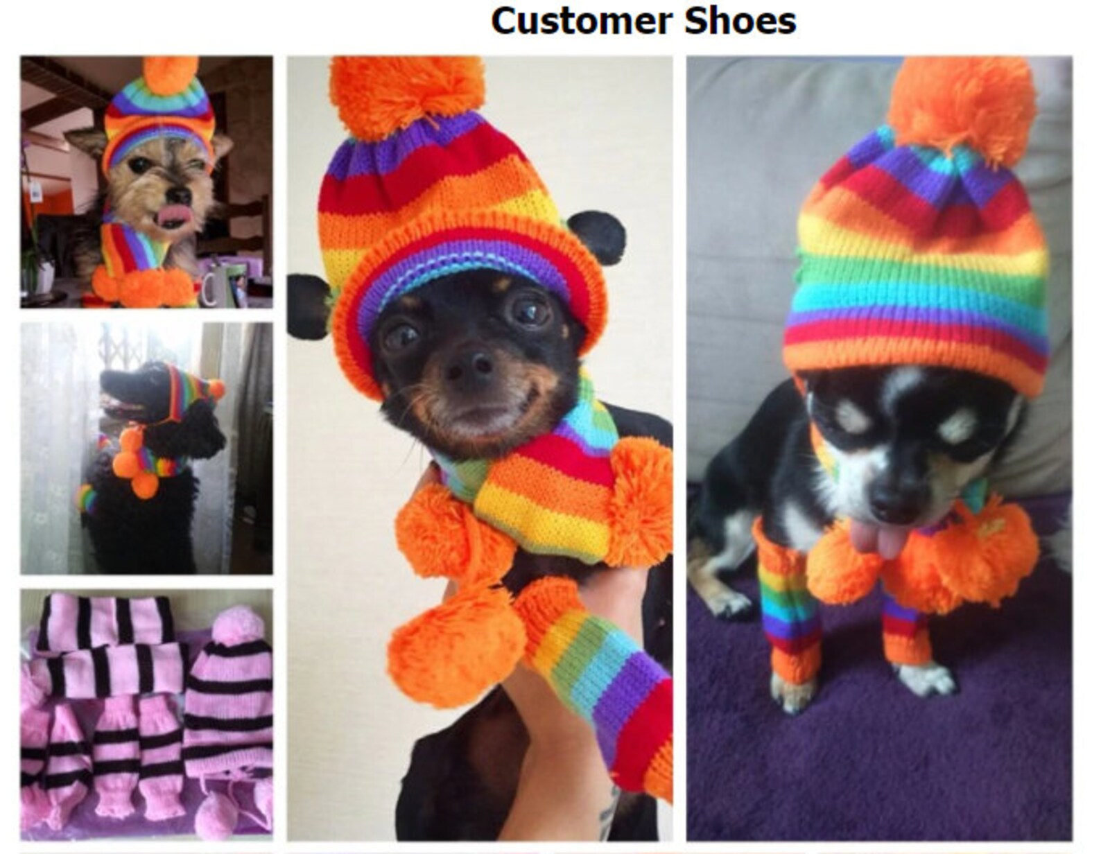 Puppy winter hats for dogs Rainbow Stripe Knitted Dog Hat Etsy