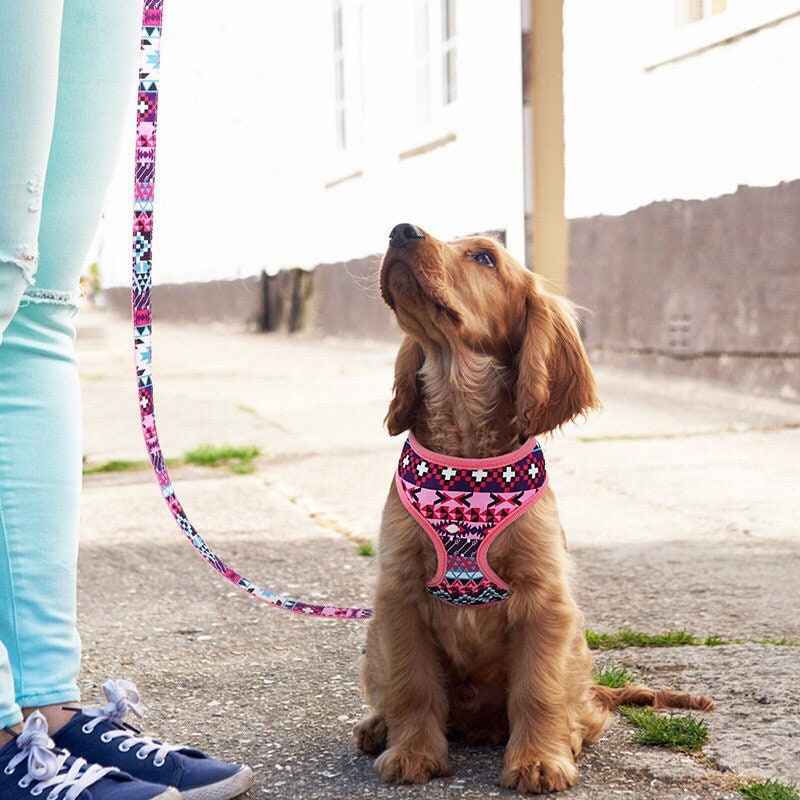 Spring Summer Cute Dog Harness Dog Chest Harness Set Cute Etsy