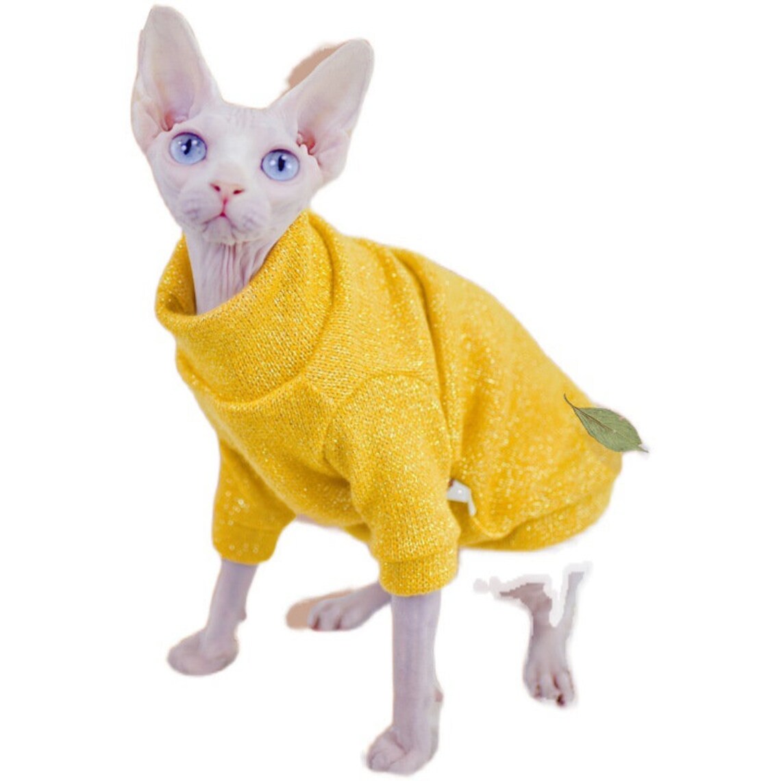 Sphynx clothes sphynx Shirt cat clothes clothes for sphynx Etsy