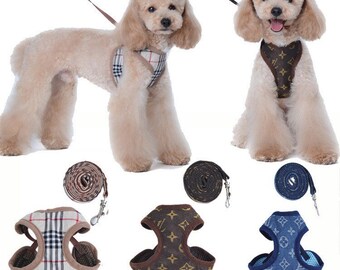 designer puppy harness
