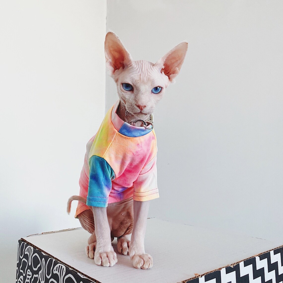 Sphynx clothes sphynx Shirt cat clothes clothes for sphynx Etsy