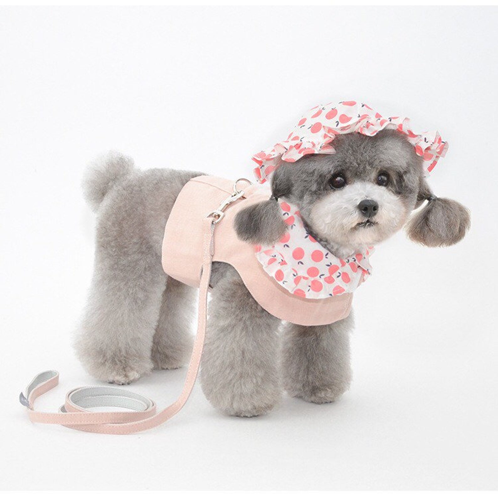 Adorable Hat for Dogs Custom Dog Hat Dog Cap Personalized Dog Etsy