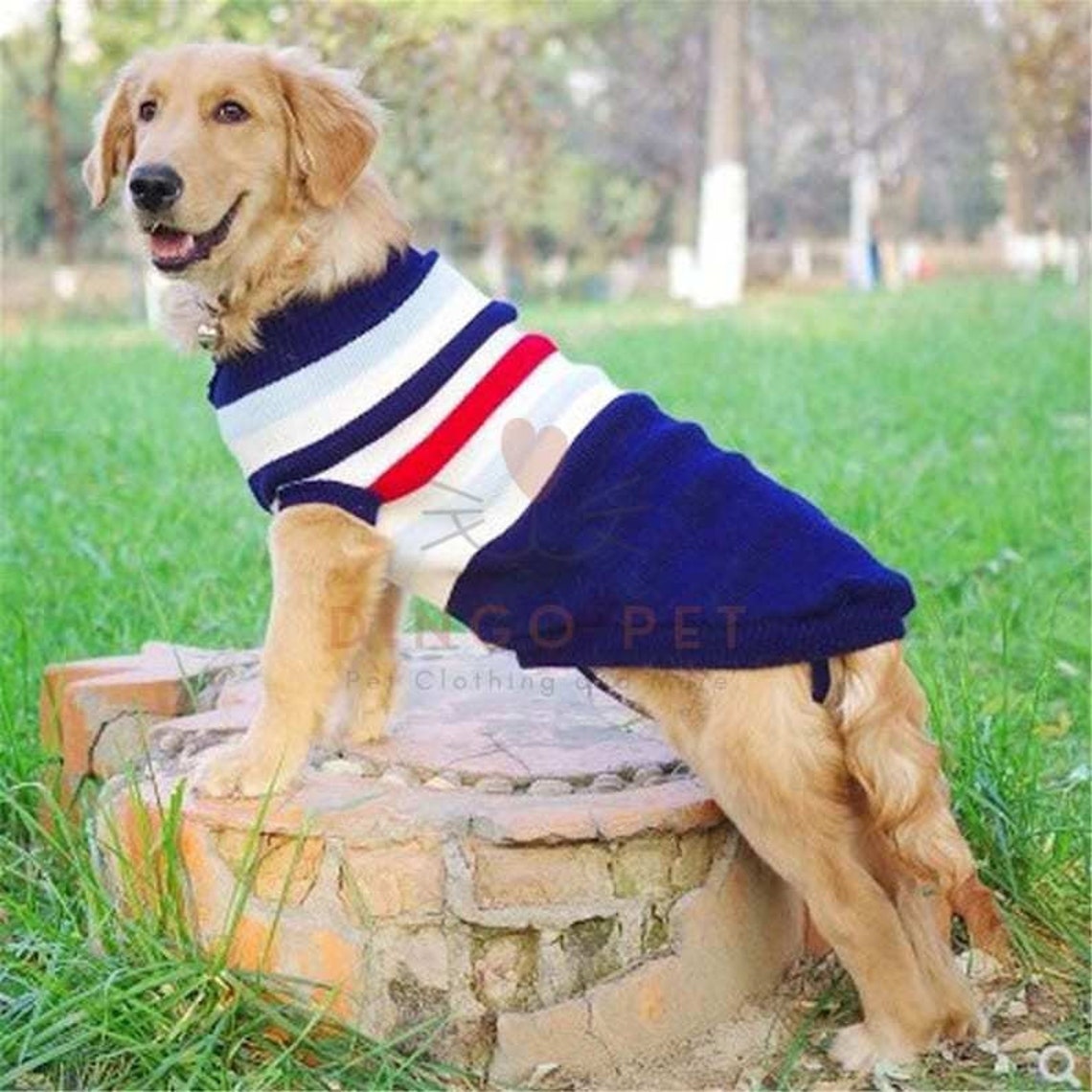 Large Dog Sweater Labrador Golden Retriever Jumper Knitted Etsy