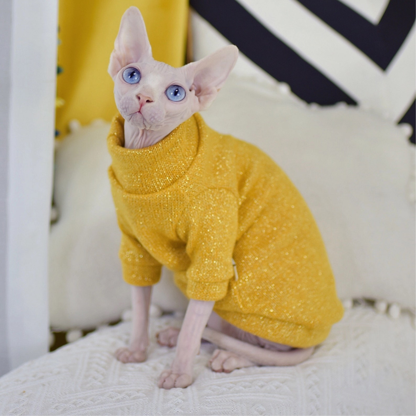 Sphynx clothes sphynx Shirt cat clothes clothes for sphynx Etsy