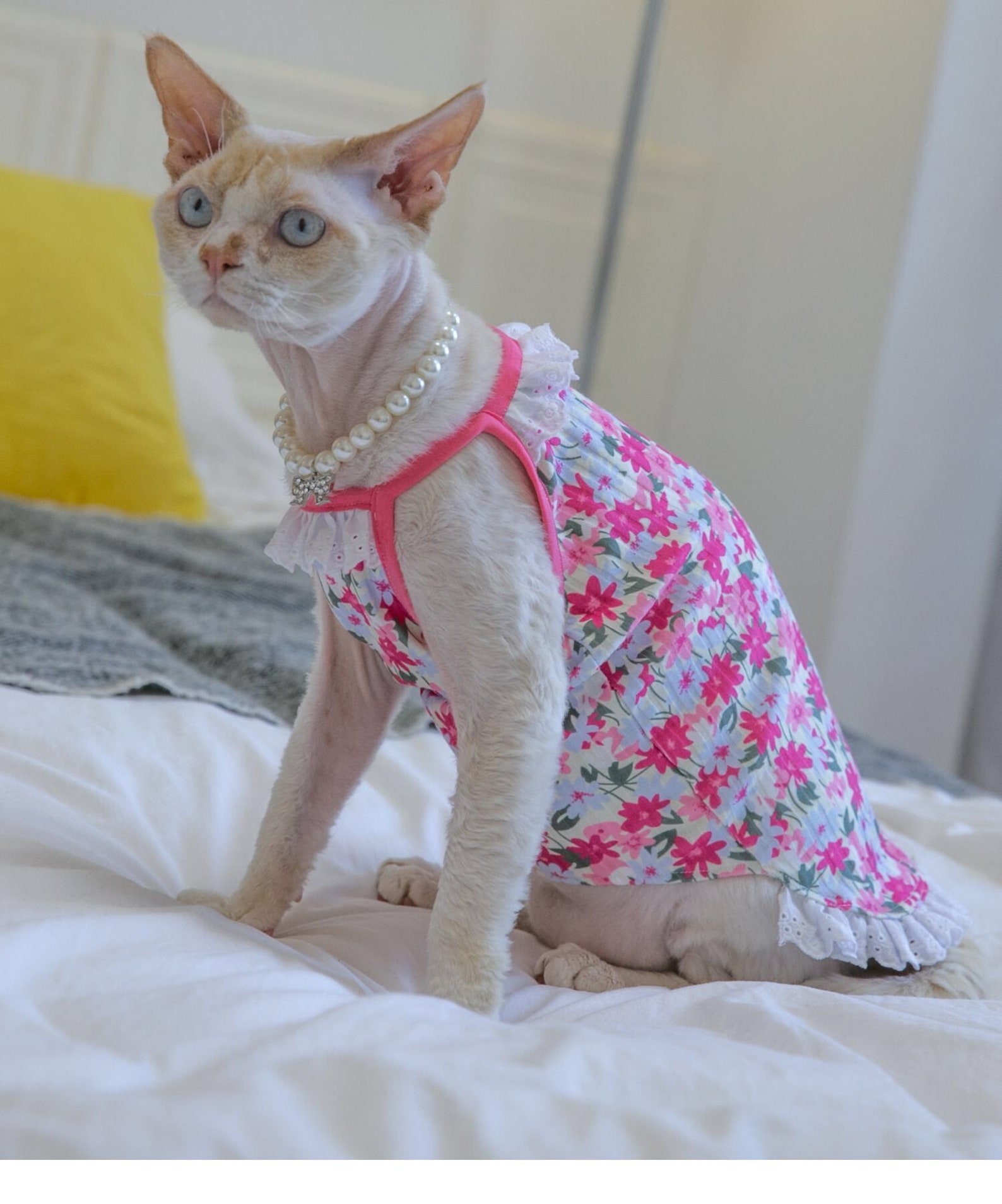 Sphynx Cat Dress Summer Clothes Hairless Cat Sphynx Dress Etsy
