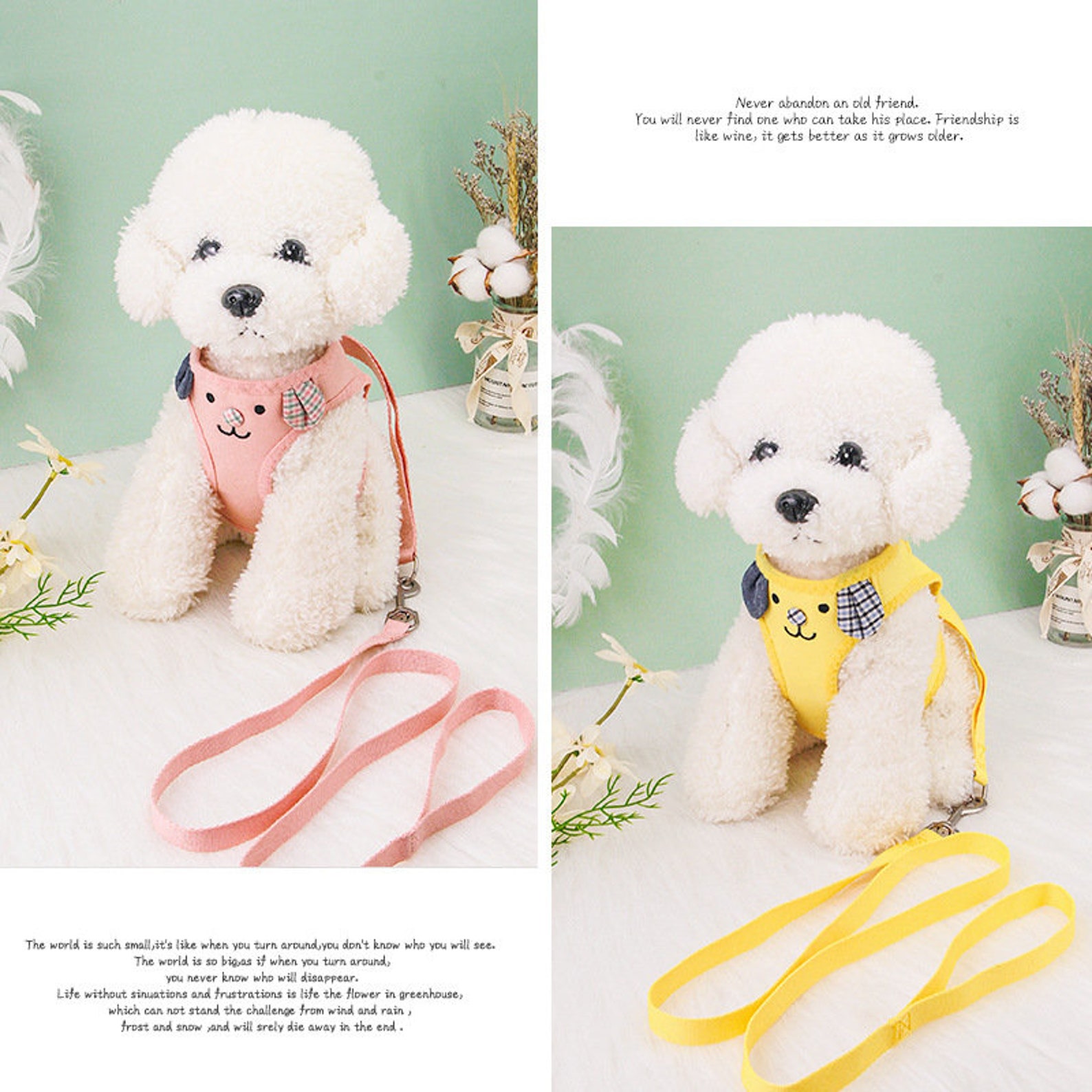 Spring Summer Cute Dog Harness Dog Chest Harness Set Cute Etsy