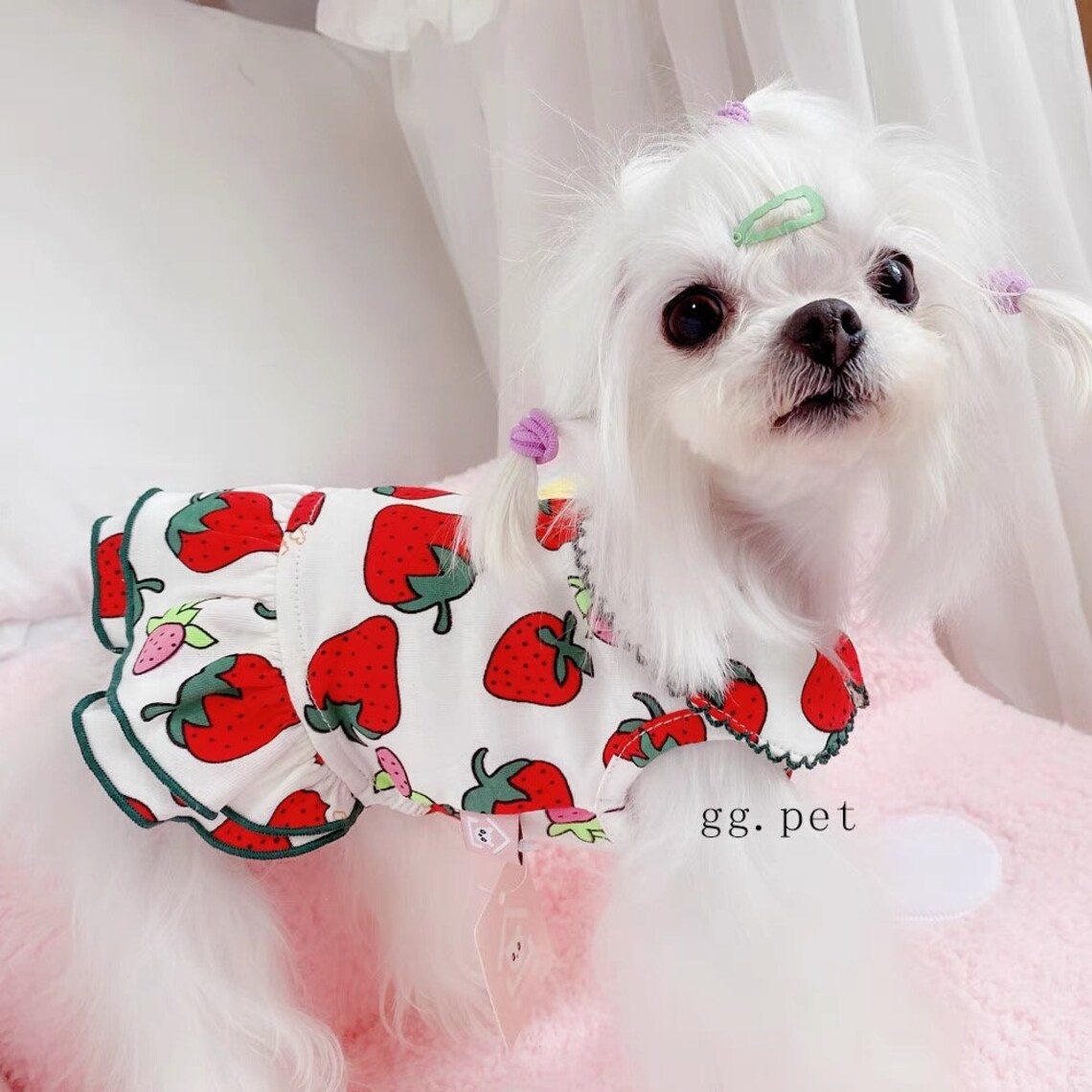 Sweet Strawberry Dog Dress Spring Summer Strawberry Pet Dog Etsy