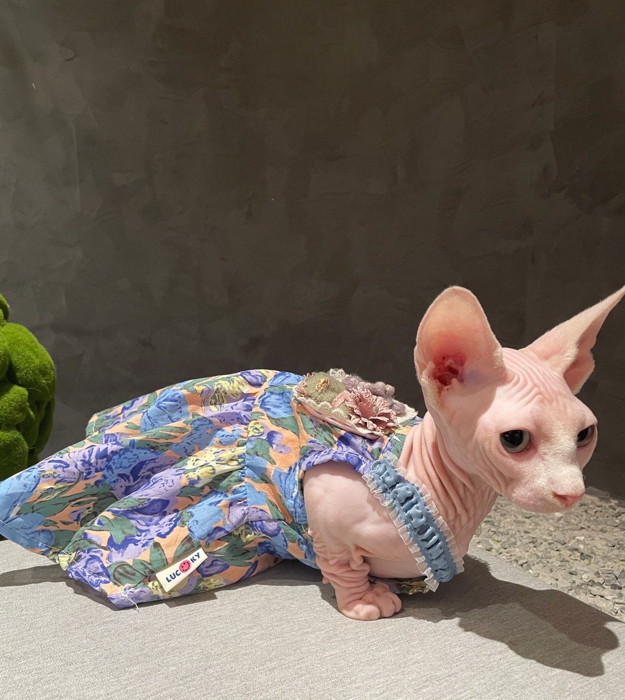 Sphynx Cat Dress Summer Clothes Hairless Cat Sphynx Dress Etsy