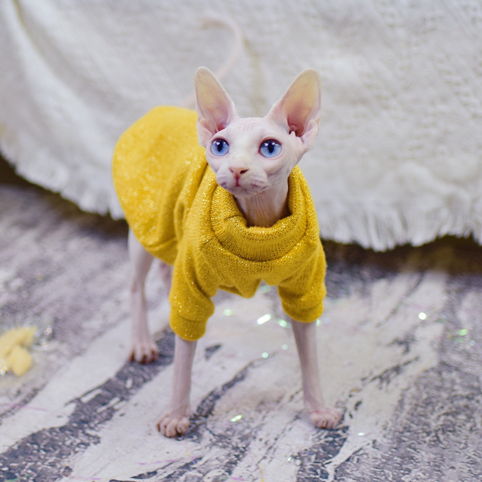 Sphynx clothes sphynx Shirt cat clothes clothes for sphynx Etsy