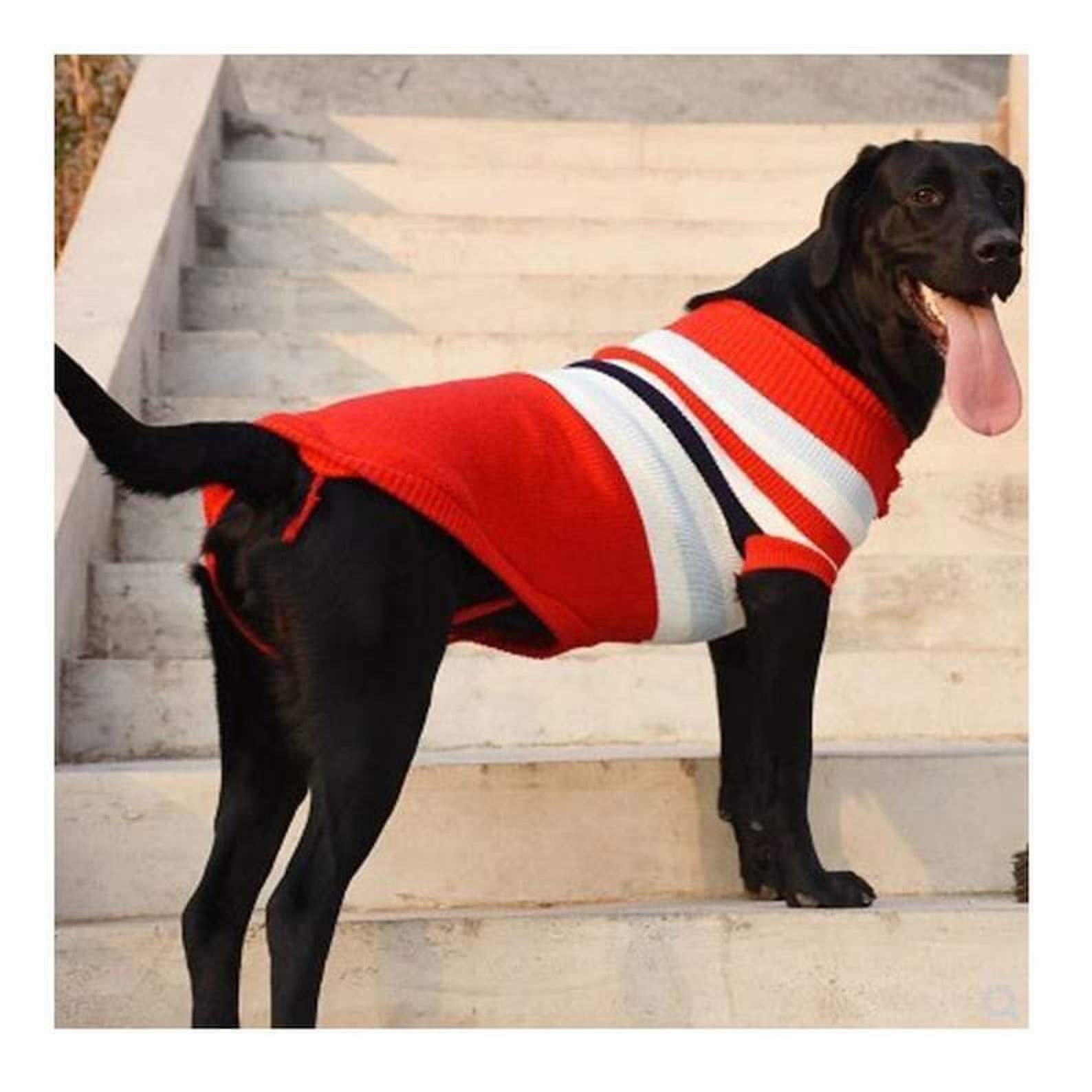 Large Dog Sweater Labrador Golden Retriever Jumper Knitted Etsy