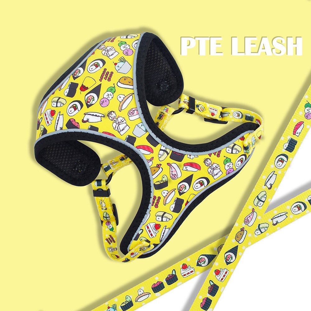 Spring Summer Cute Dog Harness Dog Chest Harness Set Cute Etsy