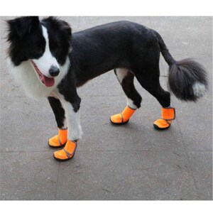 dog boots for missing paw