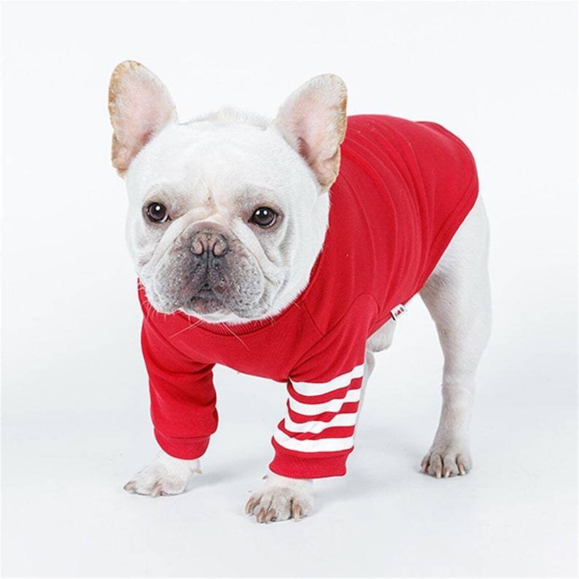 French Bulldog Clothes Cotton Dog Clothes Pet Clothing for Dog Etsy