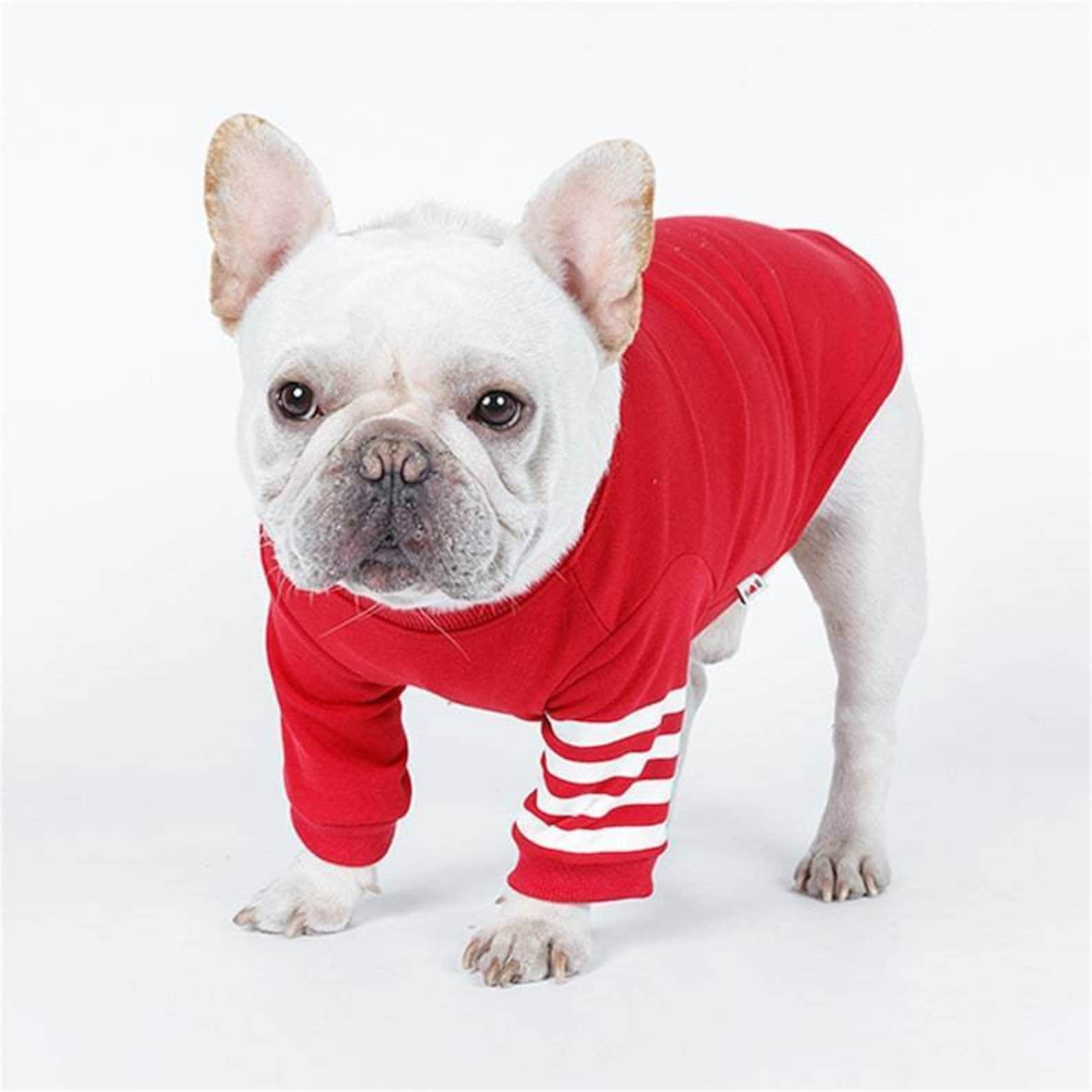French Bulldog Clothes Cotton Dog Clothes Pet Clothing for Dog Etsy