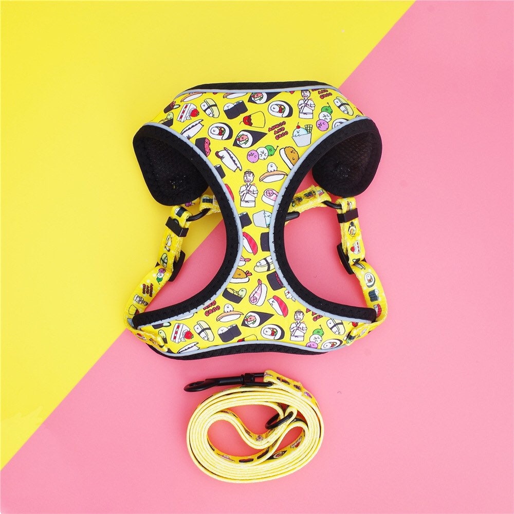 Spring Summer Cute Dog Harness Dog Chest Harness Set Cute Etsy