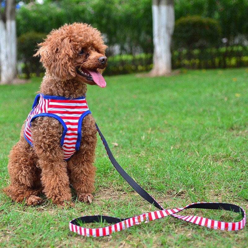 Spring Summer Dog Harness Dog Chest Harness Set Cute Dog Etsy
