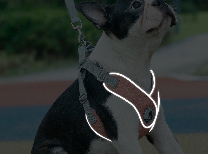 Soft X Chest Dog Harness Dog Chest Harness Set Cute Dog Etsy