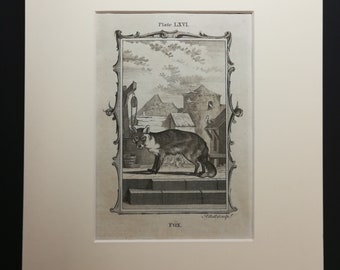 Vintage Framed Print Fox Family from Original Engraving C.F Deiker 1885