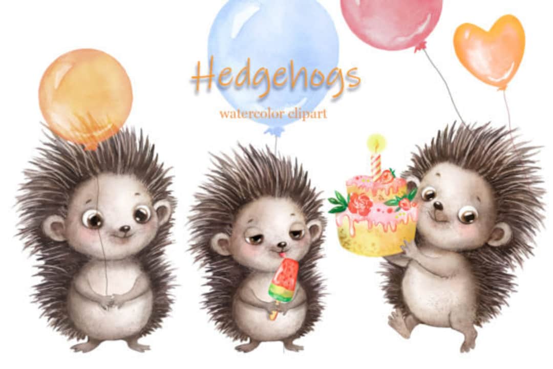 Lustige Igel Aquarell Clipart Etsy.de