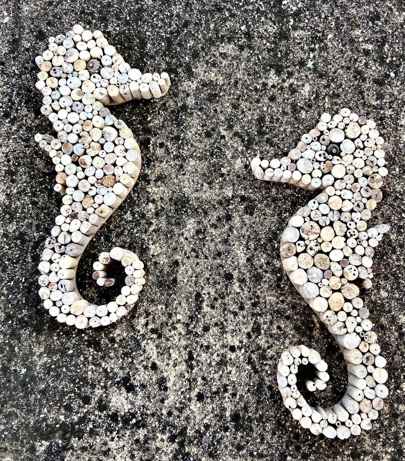 Driftwood Seahorse Wooden Wall Coastal Art Decor Seahorse Etsy