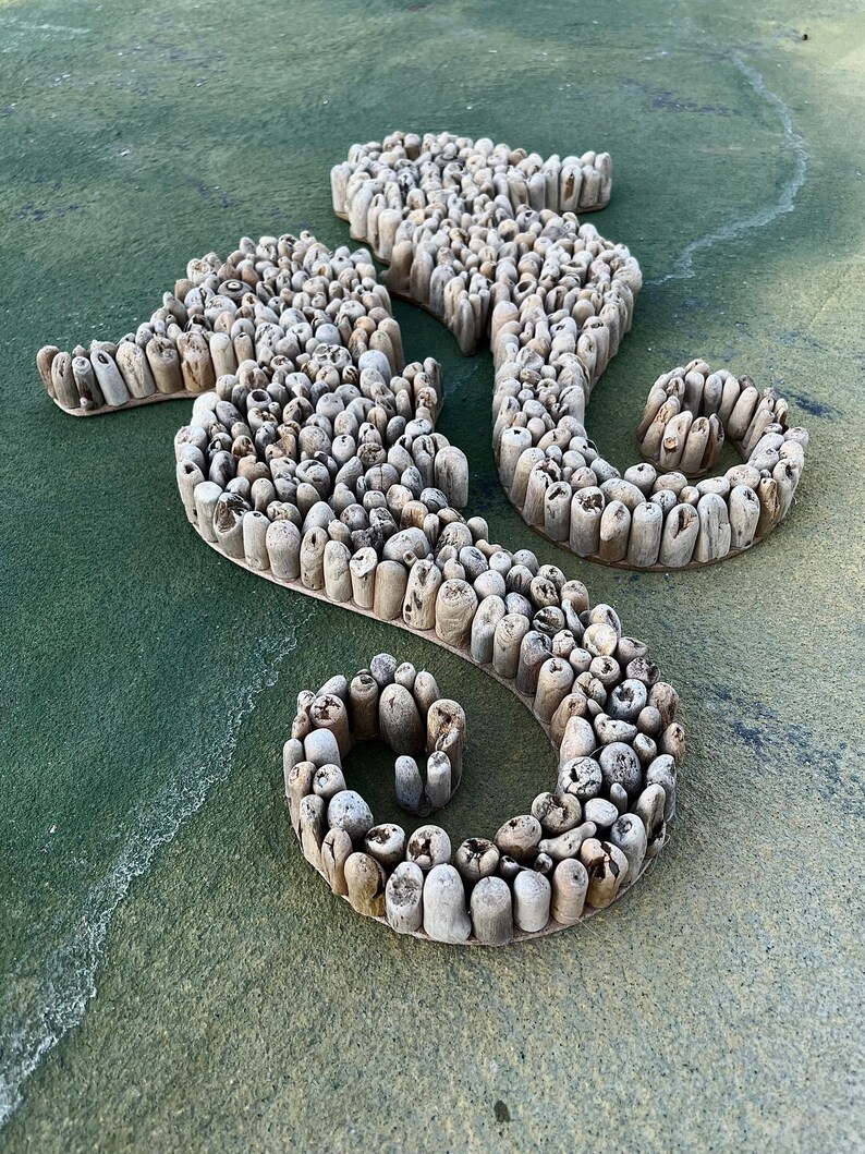 Driftwood Seahorse Wall Art Sea Life Wall Decor Wooden Etsy
